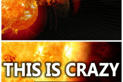 🐘 “Severe Space Weather Warning: Large Geomagnetic Storms Set to Hit Soon! 🌠” “A severe space weather alert has been issued as large geomagnetic storms are anticipated in the coming days! ‘This could lead to disruptions in satellites and power systems,’ meteorologists state. What preparations should be made to mitigate the effects of this cosmic phenomenon? Stay informed with our comprehensive coverage! 👇”