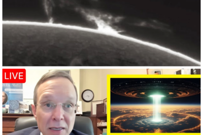 🐘 “3I/ATLAS Breaks New Ground: Stunning Images Confirm the Unthinkable! 🌠” In a groundbreaking moment for science, 3I/ATLAS has achieved the unthinkable, with new images that confirm theories once considered far-fetched. “This is a monumental leap forward in our understanding of the universe!” a leading researcher declared, as the stunning visuals reveal details that could rewrite the textbooks. The implications of this discovery are immense, promising to unlock new realms of knowledge about our cosmos and its intricate workings. Join us as we explore the incredible findings that have emerged from this revolutionary project! 👇