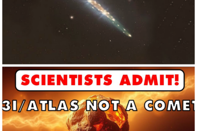 🐘 Breaking News: 3I/ATLAS NOT a Comet — The Shocking Truth Behind This Celestial Body! 💥 “In the vastness of space, clarity can often be elusive!” The confirmation that 3I/ATLAS is not a comet has rocked the foundations of astronomical research, prompting experts to reevaluate their assumptions. What is this object, then, and why does it matter? As scientists race to uncover the truth, the implications of this discovery could have profound effects on our understanding of the cosmos! 👇