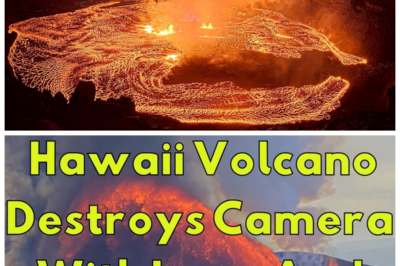 🐘 “Eruption Wipes Out Live Webcam With Lava Fountains: The Spectacle of Destruction!” 🌠 In a dramatic twist, a volcanic eruption has obliterated a live webcam that was capturing the stunning sight of lava fountains, leaving viewers breathless. “Looks like Mother Nature has her own plans,” they murmur, as the fiery display of molten rock and ash fills the sky. As the eruption unfolds, what insights can we gain about volcanic activity and its effects on the environment? Join us as we witness this incredible spectacle of destruction! 👇