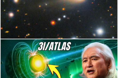 🐘 “3I/ATLAS Debris Crash: How It Could Lead to Catastrophic Super Tides! ⚠️” “With debris from 3I/ATLAS crashing into the Moon, experts are concerned about the resulting super tides that may engulf coastlines! ‘Are we prepared for the consequences of this celestial event?’ Join Michio Kaku as he dives into the implications of this unprecedented occurrence!” 👇