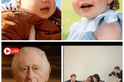 🐘 “Royal Secrets Unveiled: Buckingham Palace Responds to Archie & Lilibet Identity Rumors! 💥” “After months of speculation, Buckingham Palace has finally responded to the rumors surrounding the identity of Archie and Lilibet. ‘These claims are unfounded and misleading,’ they assert, shocking many. What details did the palace reveal, and what does this mean for the royal family’s image? Join us for a deep dive into this unfolding story! 👇”