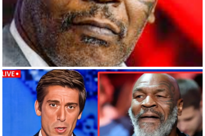 🐘 “Mike Tyson’s Heartbreaking Journey at 59: More Than Just a Fighter!” 🥊 At 59, Mike Tyson’s life reflects a series of tragedies that go beyond the boxing ring. “What personal losses and struggles has he faced that have left a lasting mark on him?” As Tyson shares his story, it reveals the vulnerability behind the persona of a champion. 👇