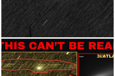 🐘 “BREAKING: NASA Reveals Major Changes in 3I/ATLAS Today — What This Means for Space Exploration! 🌌” In a jaw-dropping update, NASA has announced that the 3I/ATLAS project has undergone significant changes today, sparking excitement and curiosity among scientists and space enthusiasts alike. “This is a game-changer for our understanding of astronomical phenomena,” a NASA spokesperson stated, as they unveiled new findings that challenge existing theories. These developments could open new avenues for exploration and understanding of our universe, leaving everyone eager to learn more about what lies ahead in this ambitious initiative. Get ready for a thrilling journey into the unknown! 👇