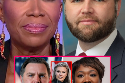 internet—sparking shock, outrage, and a stunned silence from viewers who weren’t expecting the conversation to go there. And just when the moment seemed headed toward utter chaos, JD Vance delivered a calm, deliberate response that shifted the entire tone in seconds. One producer was overheard saying, “Nobody expected him to answer like that.”