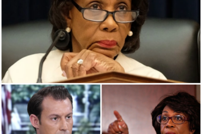 The studio shifted from routine debate to frozen disbelief when Maxine Waters suddenly sneered, “Sit down, hillbilly,” and for 37 long seconds Johnny Joey Jones said nothing at all — just reached beneath the desk, placed a sealed binder on the table, and looked up with a calm that made the room uneasy before quietly replying, “Let’s talk about facts.”