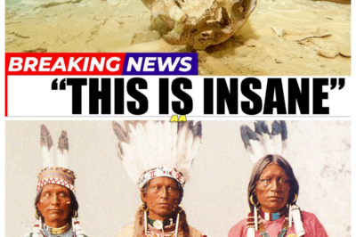 Ancient DNA Mystery Solved What REALLY Happened to First Americans