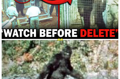 NEW Bigfoot Footage Caught on Camera From Washington Has Changed EVERYTHING!