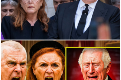 Royal Volcano Erupts as King Charles Slashes Spending and Sparks a Palace Showdown, Leaving Andrew and Fergie Outraged Over a “Final Check So Insulting It Felt Like a Public Humiliation,” Triggering Explosive Tension in the Monarchy 😱🔥