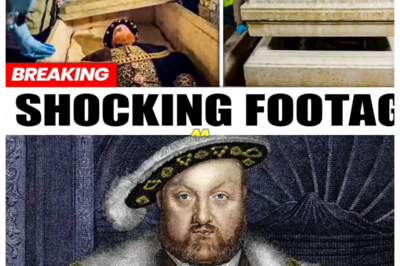 Archaeologists Just Opened King Henry VIII’s Sealed Tomb — What They Found Is Unbelievable