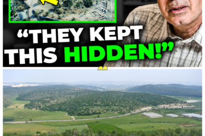 Before I Die, I Must Tell The Truth —Dr. Yosef Garfinkel Reveals What He Found in the Valley of Elah