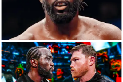 🐘 Unforgettable Moments: Canelo Alvarez vs. Terence Crawford Fight Highlights! 😲 “Did you see that?” The clash between Canelo Alvarez and Terence Crawford was nothing short of spectacular, and this highlight reel brings you the most thrilling moments from their epic encounter. From stunning combinations to fierce exchanges, relive the excitement of a fight that had everyone talking. What can we learn from this incredible matchup? 👇