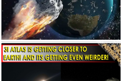 🐘 “3I Atlas Nears Earth: Unraveling the Mysteries of Its Strange Behavior!” 🔭 In an incredible twist, 3I Atlas is getting closer to Earth, and its odd behavior is raising eyebrows among astronomers. From erratic movements to unexplained light patterns, this celestial object is defying expectations. “What does this mean for our understanding of comets and asteroids?” As scientists investigate these peculiarities, the implications for future space exploration and our place in the cosmos become increasingly significant. 👇
