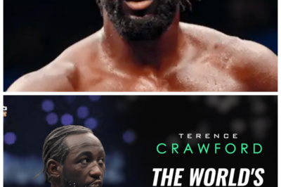 🐘 “Terence ‘Bud’ Crawford: The Rise of Boxing’s Greatest Champion! 🚀 What’s His Journey?” “From humble beginnings to global stardom, Terence ‘Bud’ Crawford’s journey is nothing short of inspiring. ‘His determination and talent have propelled him to the top,’ fans say. What challenges has he overcome, and how has his story shaped the boxing world?” 👇