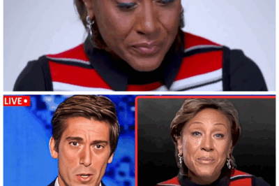 🐘 “At 65, Robin Roberts Faces Heart-Wrenching Tragedy: A Story of Resilience and Loss! 😢” “In a world where strength is often celebrated, Robin Roberts now finds herself grappling with a tragedy that leaves even the strongest shattered! ‘You never know how much you can bear until life throws its worst at you!’ As she navigates through this heartbreaking ordeal, the details of her struggle reveal a tale of unimaginable pain and unwavering courage. Will she rise from the ashes, or will this be the moment that defines her legacy forever? The answers may shock you! 👇”