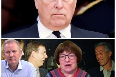 🐘 “Prince Andrew’s Fall from Grace: Stripped of Titles Over Epstein Connections!” 🌪️ In a dramatic development, Prince Andrew has been stripped of his remaining royal titles amid growing evidence of his connection to Jeffrey Epstein, including allegations that he facilitated the trafficking of women. This scandal marks a significant turning point for the royal family. “How will the monarchy recover from this crisis?” As the story unfolds, the repercussions of Andrew’s actions are becoming increasingly clear. 👇