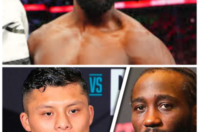🐘 Cruz’s Fiery Response: The Fallout from Crawford’s Sanction Fee Drama! ⚡ “What on earth is happening in the boxing world?” Pitbull Cruz has officially weighed in on Terence Crawford’s controversial decision, and his reaction has left many stunned. With strong criticisms and dramatic statements, tensions are rising higher than ever. Could this be the beginning of a new war in the boxing arena? 👇