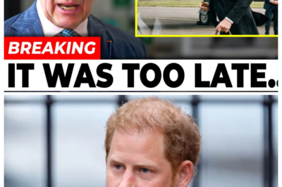 Just Minutes Ago — Prince Harry Reportedly Rushes Back to the UK After Shocking Palace Title Decision