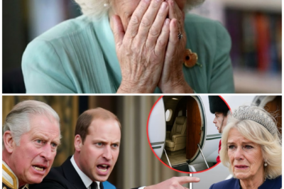 King Charles STUNS the Palace With a Final Decision About Camilla After William Reveals a “Secret Hidden on Her Plane That None of Us Were Prepared to See,” Triggering a Royal Shockwave That Shakes the Monarchy 😱🔥