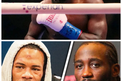 🐘 Crawford Stripped and UFC’s Boxing Move: Lamont Roach Speaks Out! 🎤 “Get ready for some eye-opening insights!” Lamont Roach shared his thoughts on the controversial stripping of Terence Crawford’s title and the UFC’s entry into boxing, sparking discussions about the future of both sports. His candid remarks highlight the challenges and opportunities that arise from these developments. What does Roach foresee for the boxing landscape? 👇