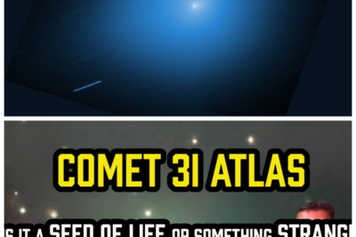 🐘 “Comet 3I Atlas – Is it a SEED of LIFE or Something STRANGE? My PICTURE Sparks Controversy!” 🔭 In a jaw-dropping revelation, the Comet 3I Atlas has been thrust into the spotlight as a potential seed of life or an inexplicable anomaly! “Could this be the breakthrough we’ve been dreaming of?” they exclaim, as I unveil a striking picture that has sent shockwaves through the scientific community. With theories swirling and excitement mounting, what does this comet really represent? Join us as we dive deep into this cosmic conundrum! 👇