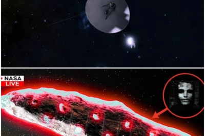 🐘 “The Hidden Message of Voyager 1: Are We Ignoring the Signs of Cosmic Danger? 🌠” “Voyager 1’s latest transmission reveals unsettling truths that could point to a looming threat from the cosmos! ‘What if the universe is trying to warn us?’ Buckle up for a thrilling exploration of what this message could mean for the future of humanity!” 👇