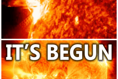 🐘 “Solar Chaos: 1.9 X-Flare Erupts, Experts Warn Millions Are at Risk! 🌞” “In an extraordinary display of solar power, a 1.9 X-flare has erupted, prompting experts to warn that millions could be at risk! ‘This level of activity is unprecedented and could disrupt our technology,’ they state. What should we expect in the coming days, and how can we prepare? Join us as we explore the implications of this powerful solar event! 👇”