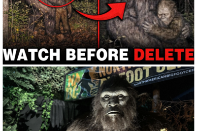 “Don’t Hurt Them!” — Real Bigfoot Videos Footage That Are 100% NOT AI
