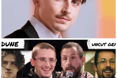 🐘 “Timothée Chalamet & Adam Sandler: A Movie Night to Remember — Secrets from ‘Dune’ to ‘Uncut Gems’!” 🍿 In a delightful twist, Timothée Chalamet and Adam Sandler come together for a movie night that fans won’t want to miss, rewatching their acclaimed films ‘Dune,’ ‘Uncut Gems,’ and the quirky ‘Marty Supreme.’ Their candid commentary and shared laughter provide a rare glimpse into the minds of these two acting giants. “What surprising revelations did they make about their craft?” As they dissect their performances, the conversation takes unexpected turns, shedding light on the creative processes behind their most memorable roles and leaving viewers craving more of their dynamic. 👇