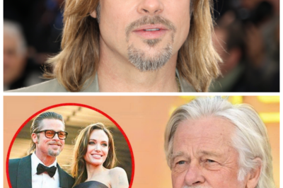 🐘 “Brad Pitt’s Emotional Confession About Angelina Jolie After 8 Years of Divorce: A Heartfelt Revelation! 🌪️ What’s the Impact?” “They say, ‘Every story has two sides,’ and now Brad Pitt is ready to share his!” After eight long years of silence following his split from Angelina Jolie, the actor finally opens up about the emotional struggles and triumphs that defined their relationship. As he shares his heartfelt reflections, fans are left to wonder: could this be the beginning of a new chapter for the former couple? 👇