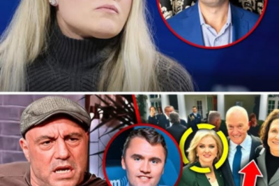 Joe Rogan just lobbed a verbal grenade into a family already split by grief.