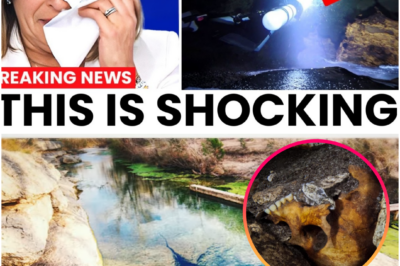 Underwater Drone Entered Jacob’s Well — What It Really Revealed About America’s Most Alluring (and Deadly) Spring