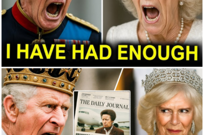 The walls reportedly shook when King Charles learned Princess Anne’s Hollywood flight had been abruptly derailed.