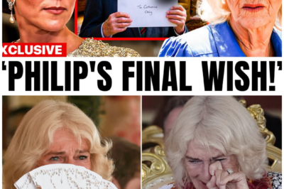 The seal had survived time, rumor, and denial — until today.