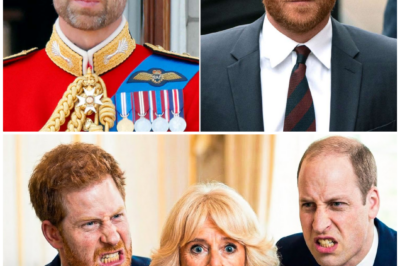 The room went dead silent the moment the DNA results were turned face-up.A lab tech swallowed hard before saying a single sentence that made both brothers go rigid.Prince Harry broke first: “So… all this time, we were never told?” Prince William didn’t speak at all — his face said everything.And somewhere inside that report was the last secret of Princess Diana.