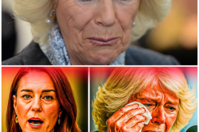 The sapphire vanished before dawn.By nightfall, a title was already trembling.When court security discovered Princess Diana’s iconic sapphire hairpin had been stolen, an emergency meeting was sealed behind palace doors.One shaken aide whispered, “This isn’t just a robbery… this is about power.” And by morning, whispers about Camilla’s status were no longer rumors.