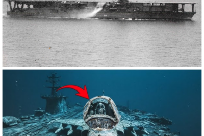 🧬 “DNA Analysis Uncovers Forgotten Secrets of George Washington’s Family — What They Found Will Stun You!” For centuries, the Washington family’s true lineage has remained a mystery — but DNA analysis has finally uncovered secrets that will leave you speechless. What scientists discovered about George Washington’s ancestry is far more shocking than anyone could have imagined, revealing hidden truths about his bloodline and connections that were long suppressed. The revelation changes everything we thought we knew about America’s founding family 👇