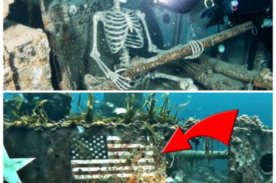 ⚡ “Shocking Discovery: WWII U.S. Weapons Ship Found — Entire Underwater Armory Still Intact and It’s More Terrifying Than You Think!” In a jaw-dropping revelation, a long-lost WWII U.S. weapons ship has been discovered — and the entire underwater armory is still perfectly intact. The ship, carrying weaponry and explosives meant for war, has been preserved beneath the waves for decades. What scientists found inside could change everything we know about WWII’s secret weapons operations. The discovery is far darker than anyone imagined and could pose a massive threat if exposed 👇