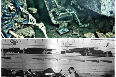 🚢 “80-Year-Old WWII Hospital Ship Found — Hundreds of Skeletons Still Inside, And What They Discovered Will Haunt You Forever!” After 80 years, a WWII hospital ship has finally been found, and the discovery inside is more disturbing than anyone could have anticipated. The ship is still filled with hundreds of skeletons, preserved in their final resting places, offering haunting clues about the tragic events that led to their deaths. What they discovered is a dark tale of war, survival, and forgotten souls, leaving historians and experts stunned and horrified 👇