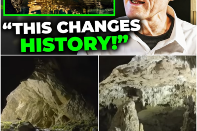 BREAKING: SEALED ICE-AGE CAVE FOUND IN AMAZON — WHAT ARCHAEOLOGISTS UNCOVERED WILL CHANGE EVERYTHING | NQM