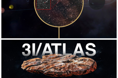 🐘 “Asteroid 3I/ATLAS: What’s Really Happening? The Shocking Discoveries You Didn’t Know! 🌠” “While 3I/ATLAS may seem like just another asteroid, new research is revealing astonishing facts that could alter our understanding of these celestial objects. ‘Its composition and behavior are unlike anything we’ve seen before,’ scientists explain. What groundbreaking revelations are emerging from the study of 3I/ATLAS?” 👇