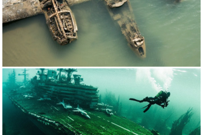⚓ “Massive U.S. Warship Loaded With Fighter Planes Found Underwater — Hundreds Still Intact and the Truth Will Shock You!” A colossal U.S. warship, lost to history, has been discovered deep beneath the ocean — and what’s been found inside is beyond belief. The ship, still carrying hundreds of fighter planes in perfect condition, raises unsettling questions about a forgotten mission. Experts are stunned by the preservation of these planes, and what they reveal could rewrite the history of WWII and naval warfare. The shocking find will leave you questioning everything you knew about the war 👇