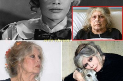 At 91, Brigitte Bardot Breaks Her Silence — What She Finally Reveals Shocks Everyone