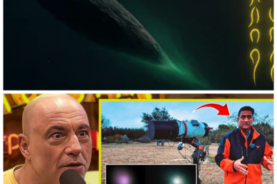 🐘 “NASA’s Oversight: Independent Astrophotographer Exposes 3I/ATLAS on Joe Rogan! 🌠 What Are They Hiding?” “An independent astrophotographer has taken center stage on the Joe Rogan podcast, revealing shocking truths about 3I/ATLAS that NASA has neglected to mention. ‘There’s a lot more to this asteroid than meets the eye,’ they claim. What hidden dangers or discoveries could this mean for our understanding of space?” 👇