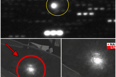 🐘 “Something ALIVE Detected in 3I/ATLAS: James Webb Telescope’s Shocking Revelation! 🌠” “The James Webb Telescope has unveiled a startling discovery: something alive is lurking within 3I/ATLAS, and it’s on a trajectory toward Earth! ‘Are we on the brink of a cosmic revelation?’ Join us as we investigate this astonishing finding and what it could mean for humanity!” 👇