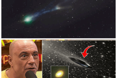 🐘 “Astronomical Breakthrough: Hawaii Scientist Discovers Impossible Structure on 3I/Atlas! 🌠” “A Hawaii astronomer has made a stunning discovery of an impossible structure on 3I/Atlas, sparking intrigue and debate in the scientific community. Joe Rogan explores the implications of this find, asking, ‘What does this mean for our understanding of the universe?’ Prepare for an enlightening discussion filled with theories and insights! 👇”