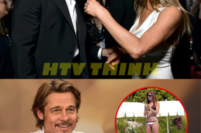 “The Unveiling of a Heart: Brad Pitt’s Sinister Confession That Will Leave You Speechless! 💔 What Lies Beneath Will Change History!” As Brad Pitt shares his deeply personal journey, a dark undercurrent of pain and regret emerges, threatening to rewrite the narrative of his illustrious career. Investigators reveal shocking truths about his past relationships and the emotional scars that linger, exposing a side of the actor few have ever seen. What hidden battles has he fought in silence? Get ready for a dramatic revelation that will leave you breathless and eager to uncover the truth! 👇