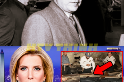 “Hoffa’s Last Secrets: Mafia Ties and Betrayal Revealed! 💼 Who Really Silenced the Labor Legend?” As the decades roll on, the mystery of Jimmy Hoffa’s disappearance thickens with shocking revelations from inside the mob! New evidence surfaces, suggesting a betrayal so deep it could shake the foundations of organized crime. Was Hoffa’s own inner circle responsible for his vanishing act? This explosive investigation dives into the dark underbelly of the labor movement, where loyalty is a luxury few can afford. Prepare for a jaw-dropping journey into betrayal and danger! 👇