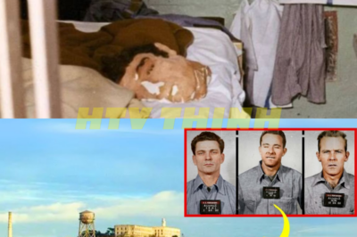 “Shadows of Alcatraz: A Shocking Journey Through the Escape That Changed Everything and the Secrets That Will Haunt You! 🔍 This Is a Must-Read!” In a riveting exploration that rises from the depths of one of history’s most notorious prisons, “Shadows of Alcatraz” reveals a world rife with betrayal and emotional turmoil that could alter our understanding of the escape forever! As we uncover the shocking secrets and hidden truths that shaped this legendary event, prepare for a dramatic ride that will challenge your perceptions and echo in your mind long after the final revelation! 👇