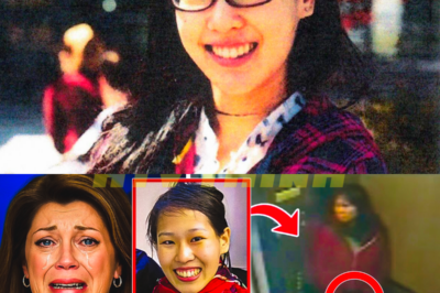 “The Elisa Lam Case: A Twisted Tale of Betrayal and Hidden Horrors Unveiled! 😱 In a shocking turn of events, the mystery surrounding Elisa Lam’s death has been cracked wide open, revealing a web of betrayal and chilling truths that will leave you breathless. As new evidence comes to light, it seems that the very people meant to protect her may have played a role in her tragic fate. What dark secrets were kept hidden in the shadows of the Cecil Hotel? Join us as we uncover the shocking reality behind this haunting story that has captivated the world for over a decade! 👇